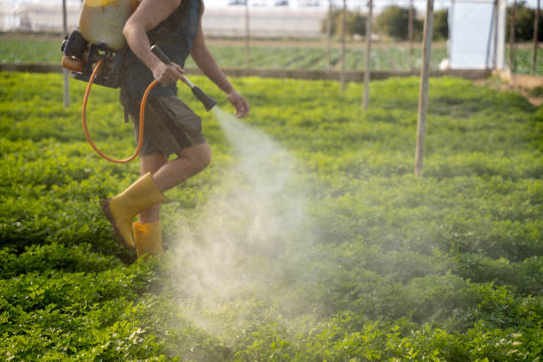 Insect Control in Venice Gardens, FL