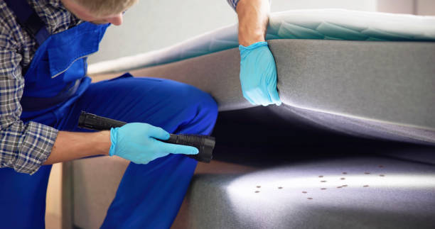 Best Wasp Removal Services  in Venice Gardens, FL