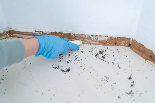 Best Pest Prevention Services  in Venice Gardens, FL